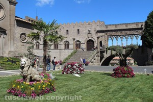 Viterbo - San Pellegrino in Fiore 2016 - Piazza San Lorenzo