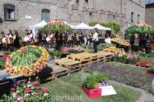 Viterbo - San Pellegrino in Fiore 2016 - Piazza San  Carluccio