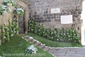 Viterbo - San Pellegrino in Fiore 2016 