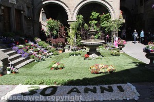 Viterbo - San Pellegrino in Fiore 2016 