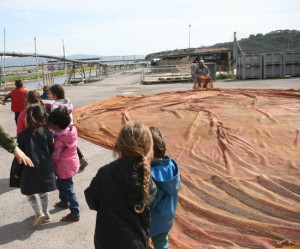 Escursione per i piccoli alunni a Montalto 