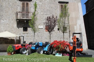Viterbo - San Pellegrino in Fiore 2016 - Piazza Gargiuli