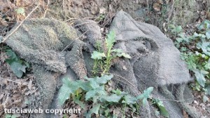 Viterbo - Discarica a cielo aperto in strada Riello
