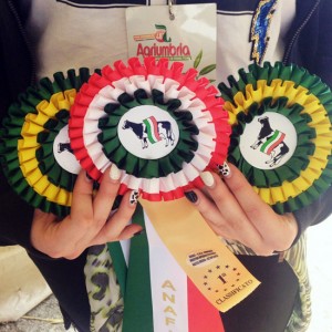 I bovini di Soriano nel Cimino trionfano ad Agriumbria 