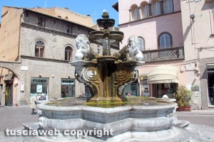 Viterbo - Piazza delle Erbe