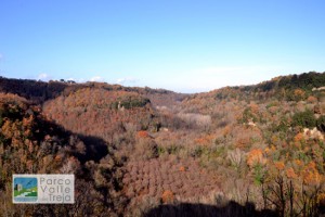 Le forre del Treja