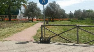 Viterbo - Santa Barbara - Il parco delle querce ripulito dai cittadini