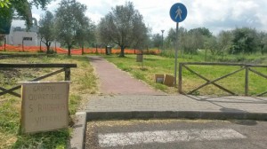 Viterbo - Santa Barbara - Il parco delle querce ripulito dai cittadini