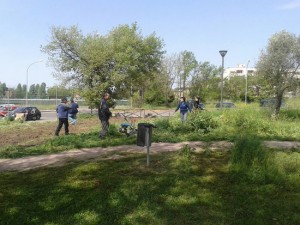 Viterbo - Santa Barbara - Il parco delle querce ripulito dai cittadini