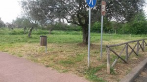 Viterbo - Santa Barbara - Il parco delle querce ripulito dai cittadini