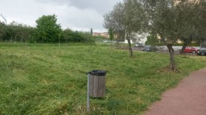 Viterbo - Santa Barbara - Il parco delle querce ripulito dai cittadini