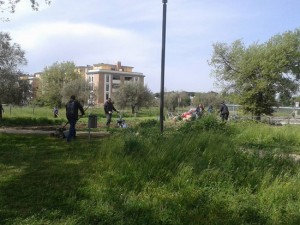 Viterbo - Santa Barbara - Il parco delle querce ripulito dai cittadini