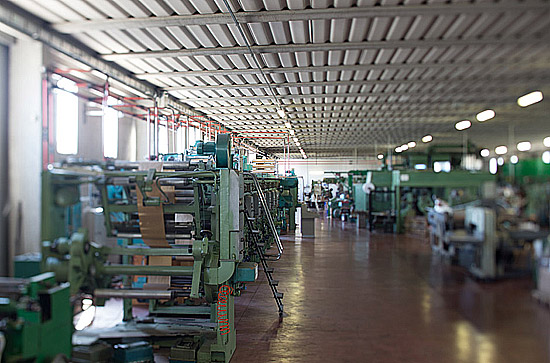 Bassano in Teverina - L'azienda Policarta