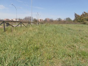 Santa Barbara - Il parco di via Luigi Beccali 