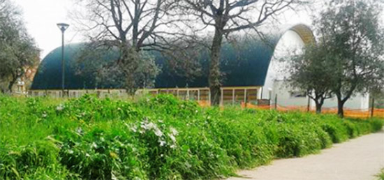 Erba alta al parco delle Querce a Santa Barbara