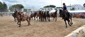 Maremma d’aMare