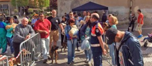 Giornata del Microchip - La fila