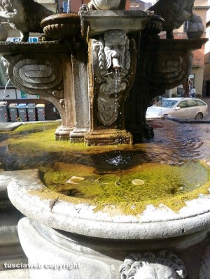 Viterbo - Piazza delle Erbe - Melma nella fontana