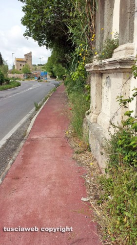 Viterbo - Buche ed erba alta in strada Bagni