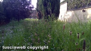 Viterbo - Via Mantova abbandonata a se stessa
