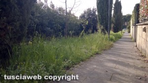 Viterbo - Via Mantova abbandonata a se stessa