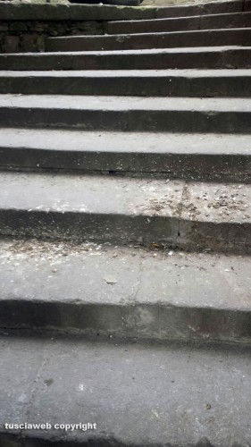 Viterbo - La scalette che portano in via Valle Piatta piene di escrementi
