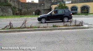 Viterbo - Aree verdi e aiuole trascurate