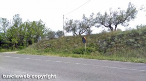 Viterbo - Specchio rotto al bivio di Monterazzano