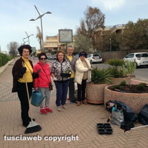 Tarquinia - Nuove piante sul lungomare dei Tirreni