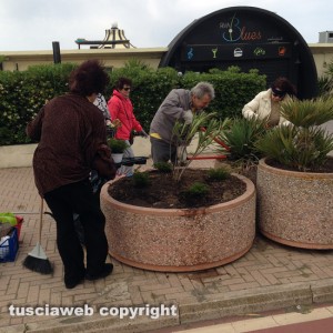 Tarquinia - Nuove piante sul lungomare dei Tirreni