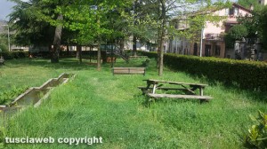 San Martino - Erba alta al parco comunale di piazza Donna Olimpia