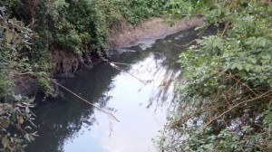 Acque inquinate del torrente Freddano