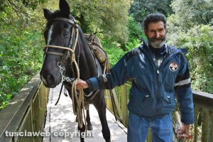 Castel D'Asso - Un cavallo passa sul ponte sull'Urcionio