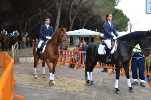 Maremma d’aMare 