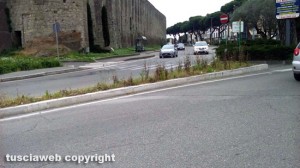 Viterbo - Piazzale Gramsci - Aree verdi e aiuole trascurate