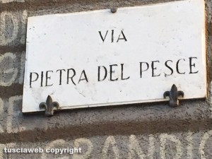 Viterbo - Mura imbrattate in via Pietra del pesce