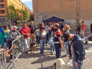 Giornata del Microchip - La fila