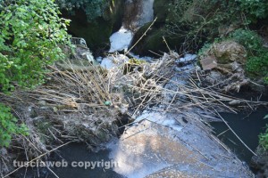 Etruschi - Castel d'Asso -L'Urcionio inquinato