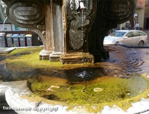 Viterbo - Piazza delle Erbe - Melma nella fontana