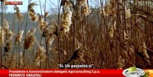 Graffignano - Il servizio di Sky Tg24 sui terreni contaminati in località Pascolaro
