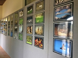La mostra fotografica a cura di Pier Paolo Fondi