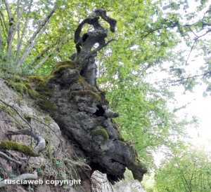 Un gargoyle a Carbognano