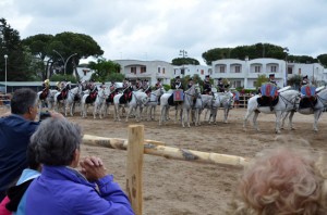 Maremma d’aMare 