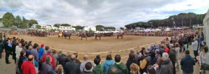 Maremma d’aMare 