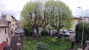 Viterbo - I volontari di Viterbo civica pulisco il parco della Quercia