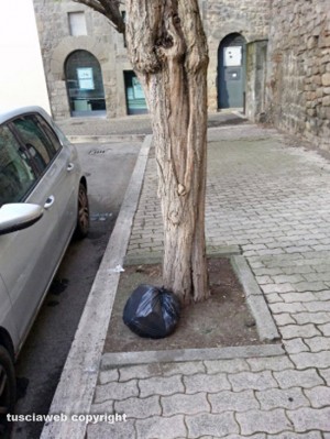 Viterbo - Immondizia nel parcheggio in piazza Martiri d'Ungheria