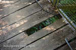 Etruschi - Castel d'Asso - Il ponte da cui è facile precipitare