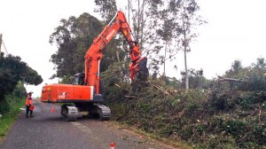 Pescia Romana - Potatura degli alberi sulle strade periferiche