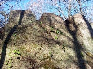 Bomarzo - Cagnemora - Ritrovamenti archeologici etruschi 