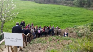 San Lorenzo Nuovo - Apre al pubblico la tomba della colonna